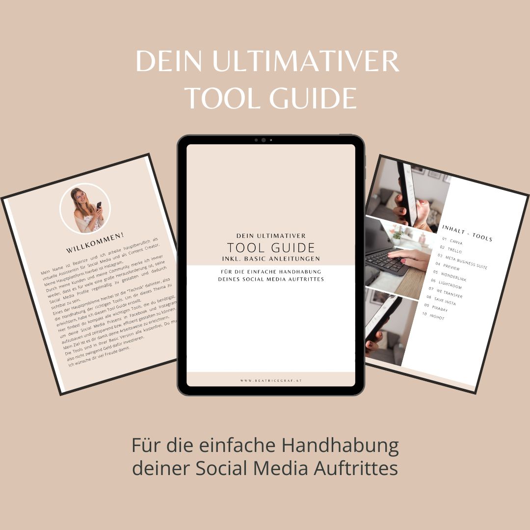 Dein ultimativer Tool Guide (eBook) - Beatrice Graf